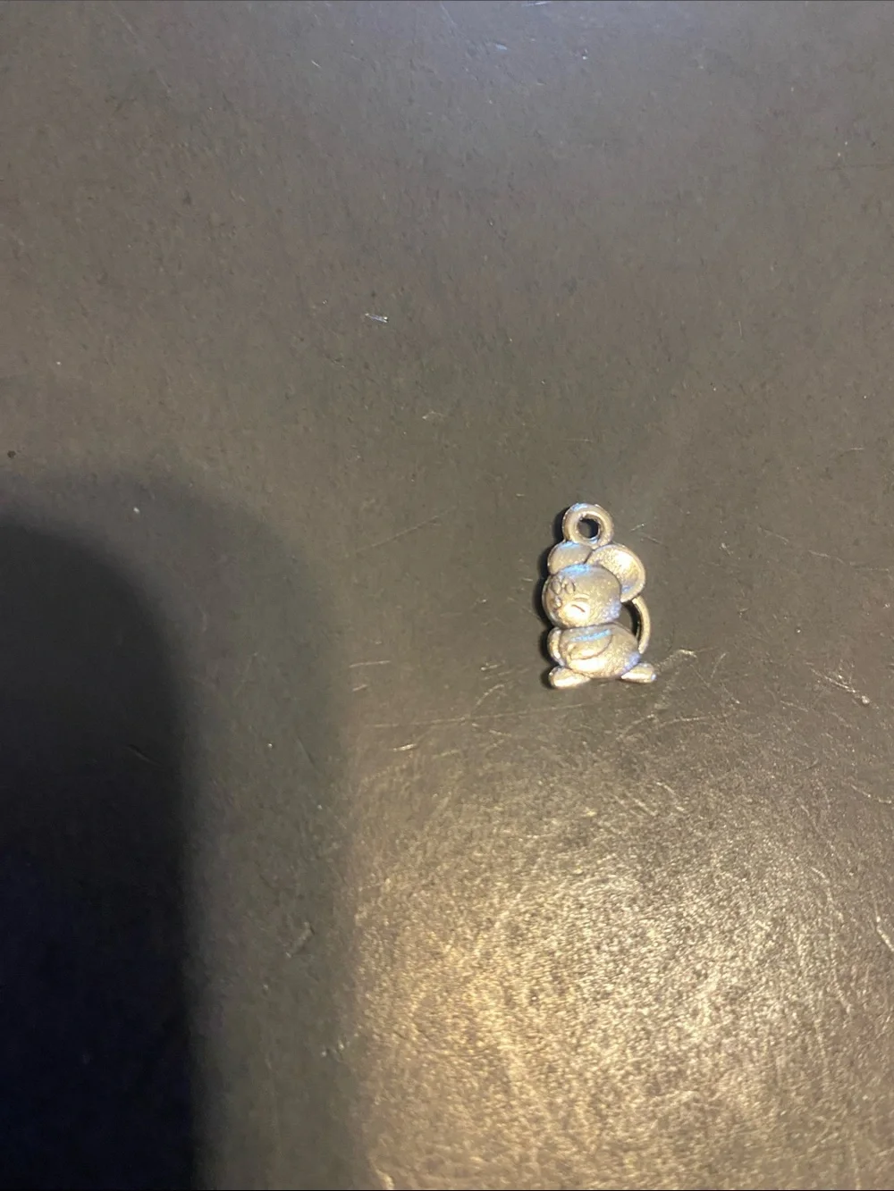 Fashion Jewelry Silver Pet & Nature Charm Set